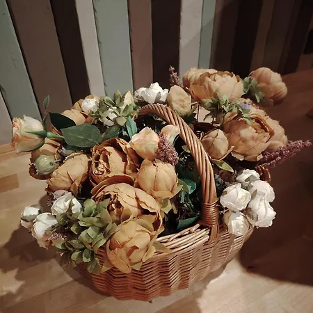 度假居 Metsolompolo